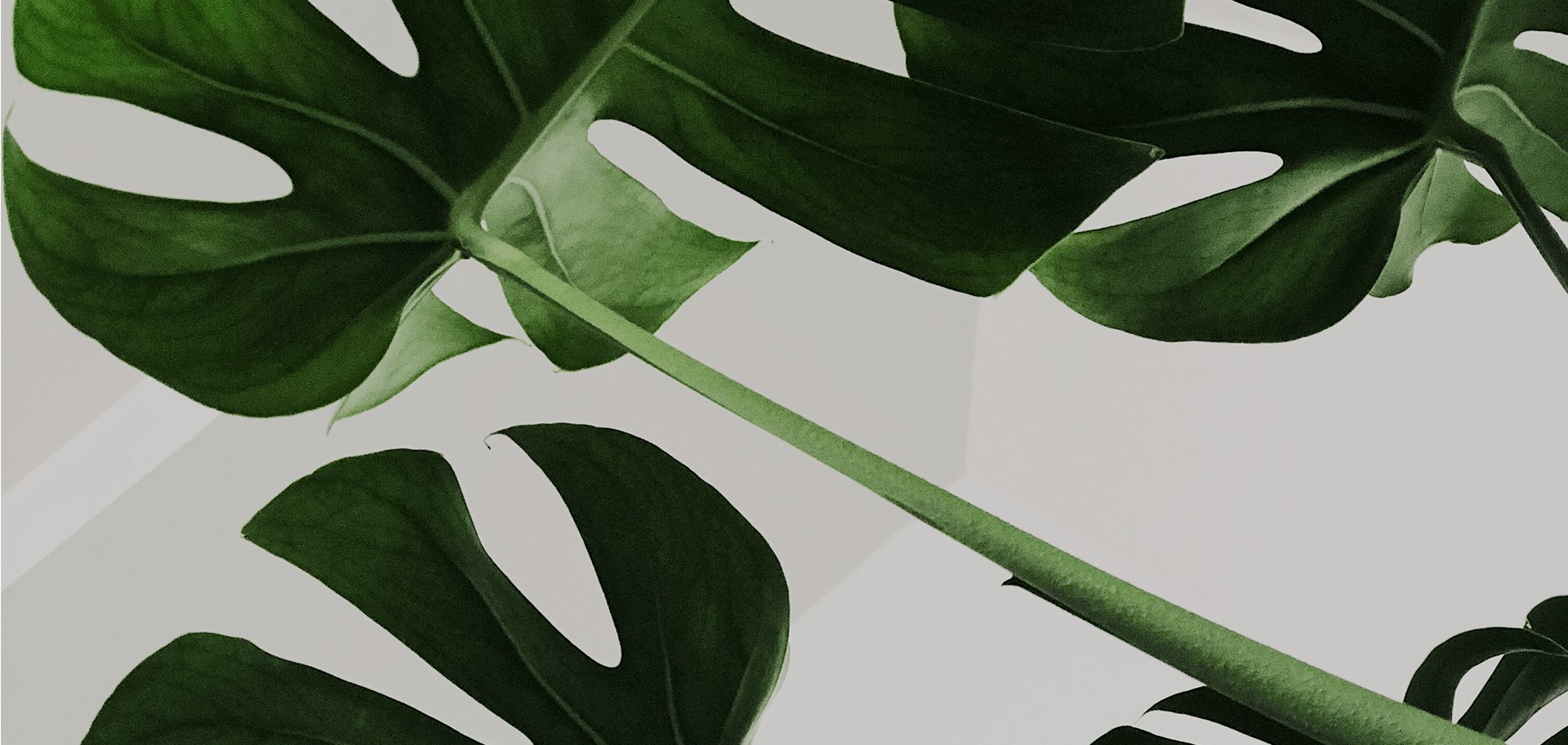 parallax background